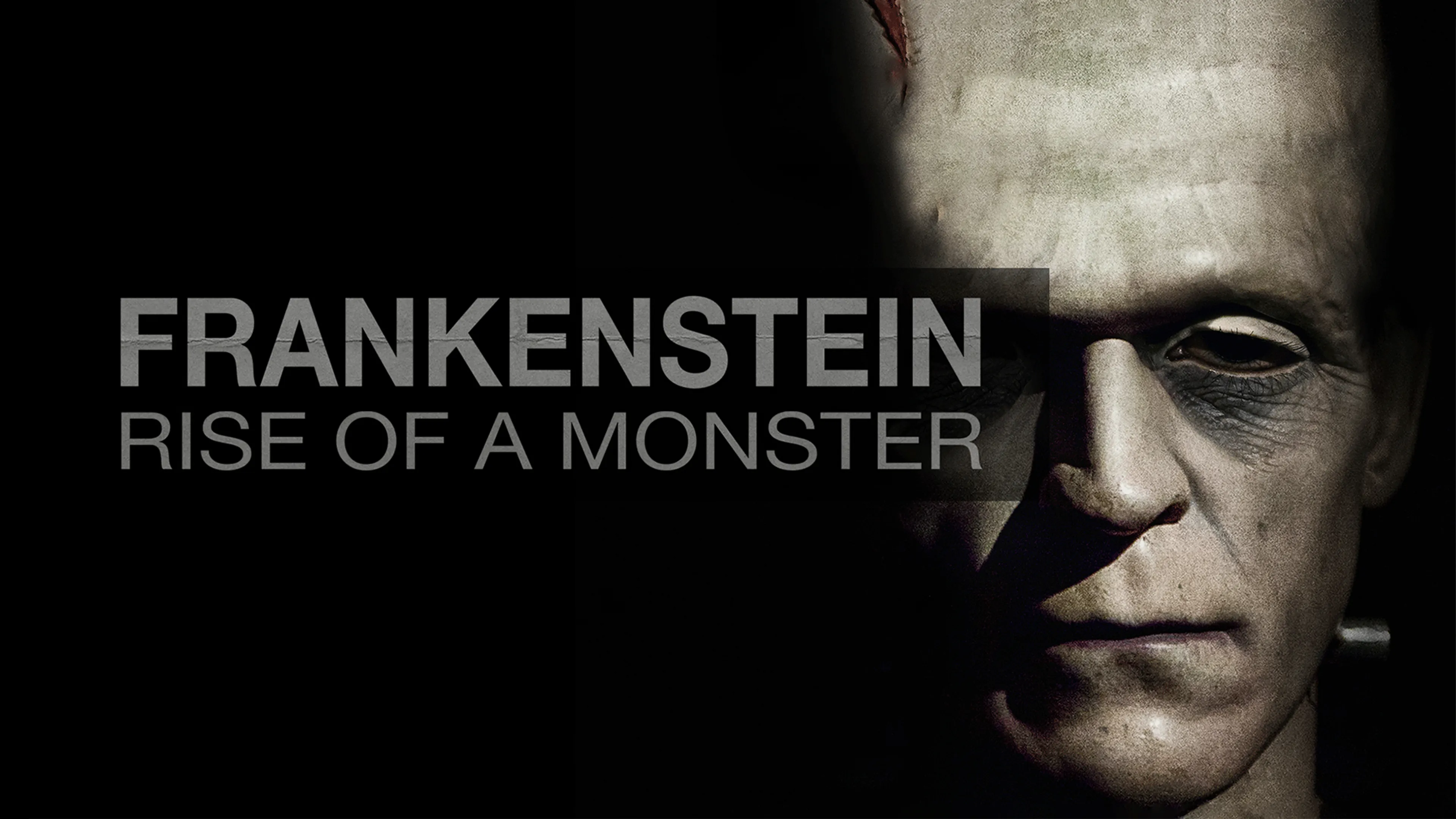 Frankenstein: Rise of a Monster poster